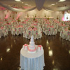 specialty event spandex chair covers
